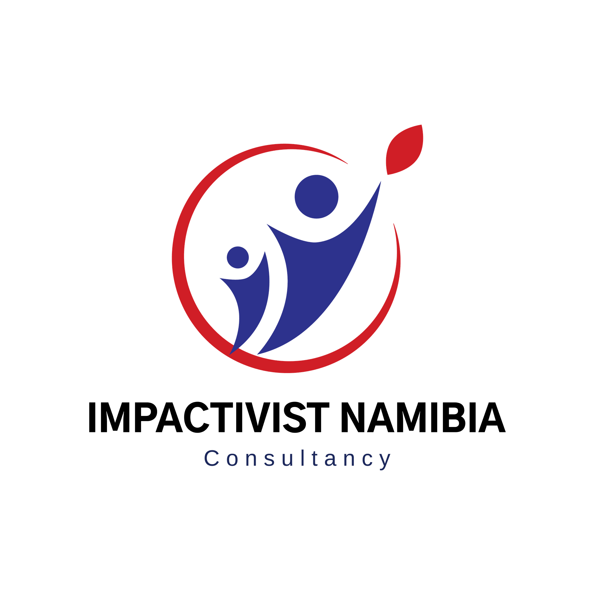 Impactivist Namibia Consultancy
